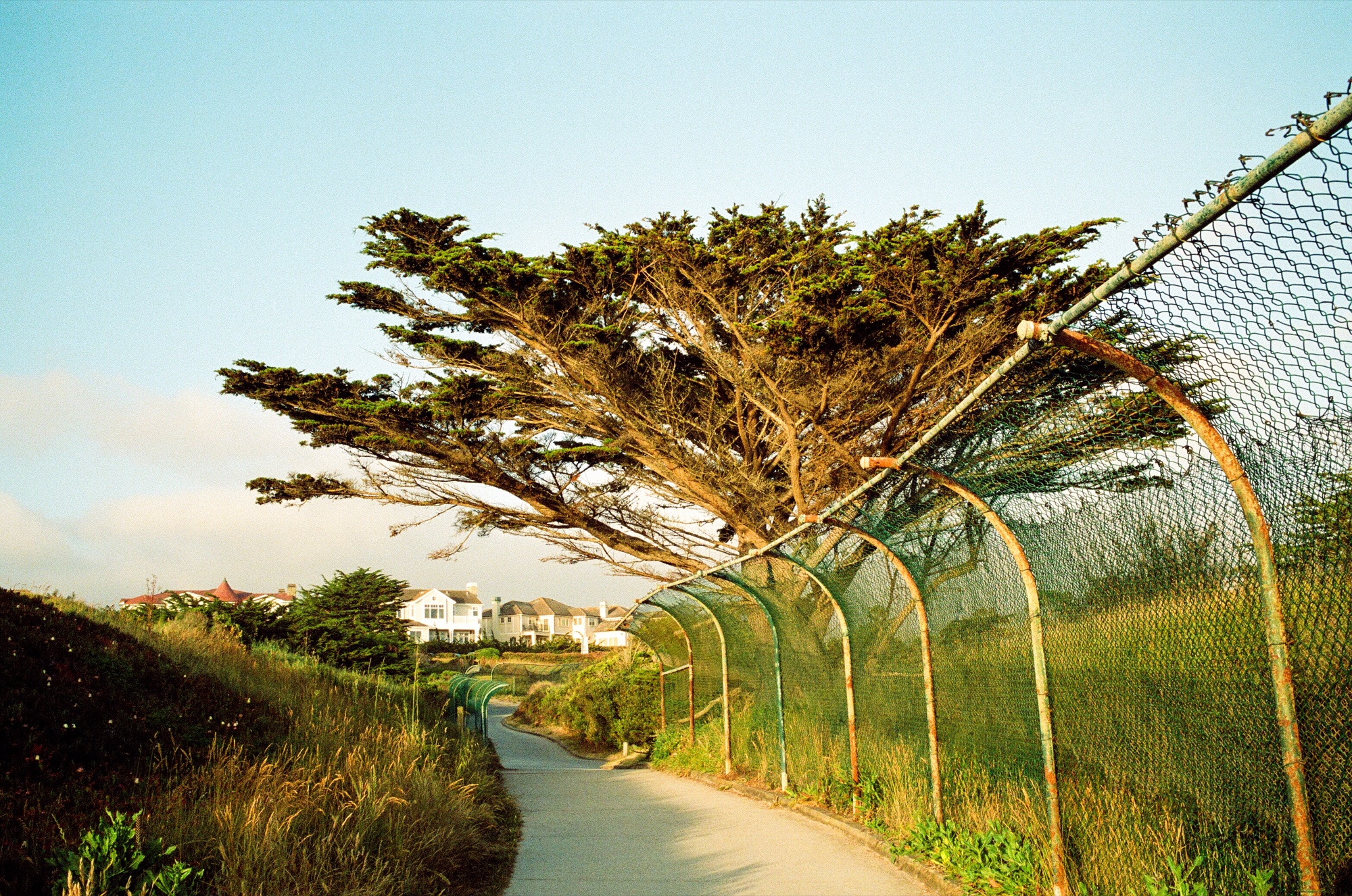 Half Moon Bay